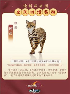 天龙八部私服pk版本